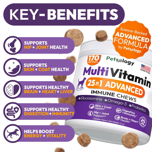 Give Your Dog the Gift of Health with Our 25-in-1 Chewable Multivitamins - Supports Joints, Digestion, and Immune System!